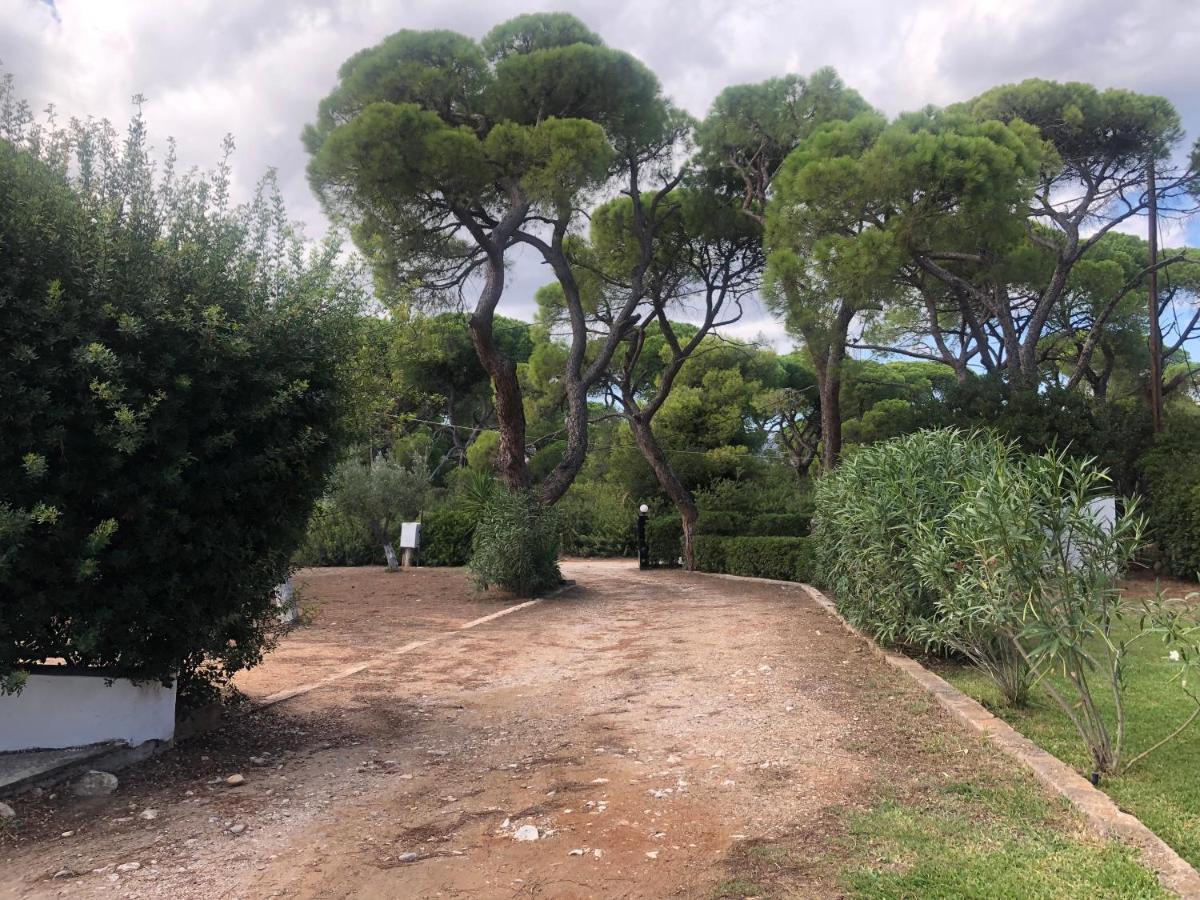 Beachfront Villa Hoopoe Schinias, Marathon Εξωτερικό φωτογραφία
