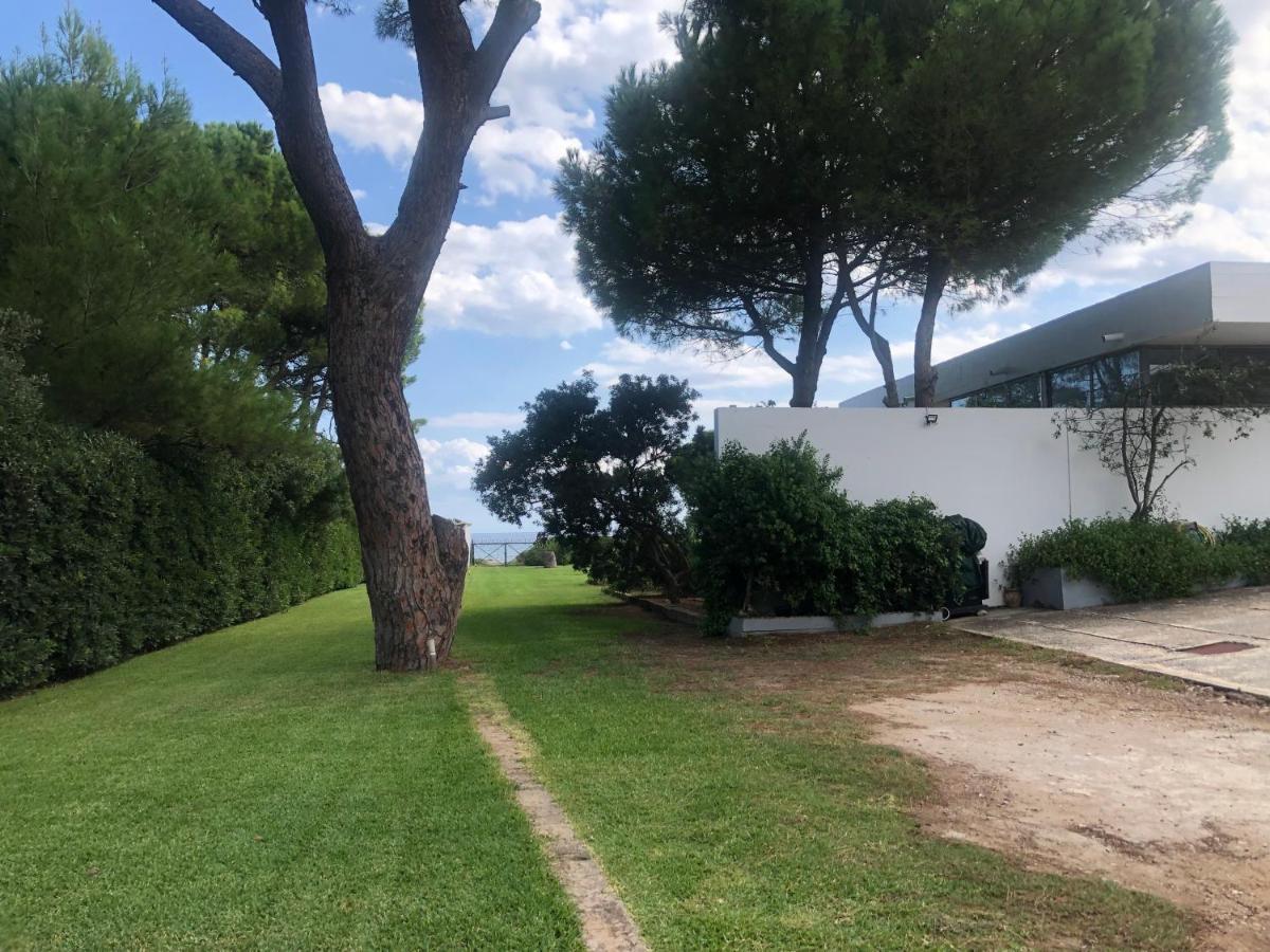Beachfront Villa Hoopoe Schinias, Marathon Εξωτερικό φωτογραφία