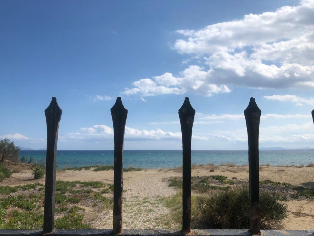 Beachfront Villa Hoopoe Schinias, Marathon Εξωτερικό φωτογραφία