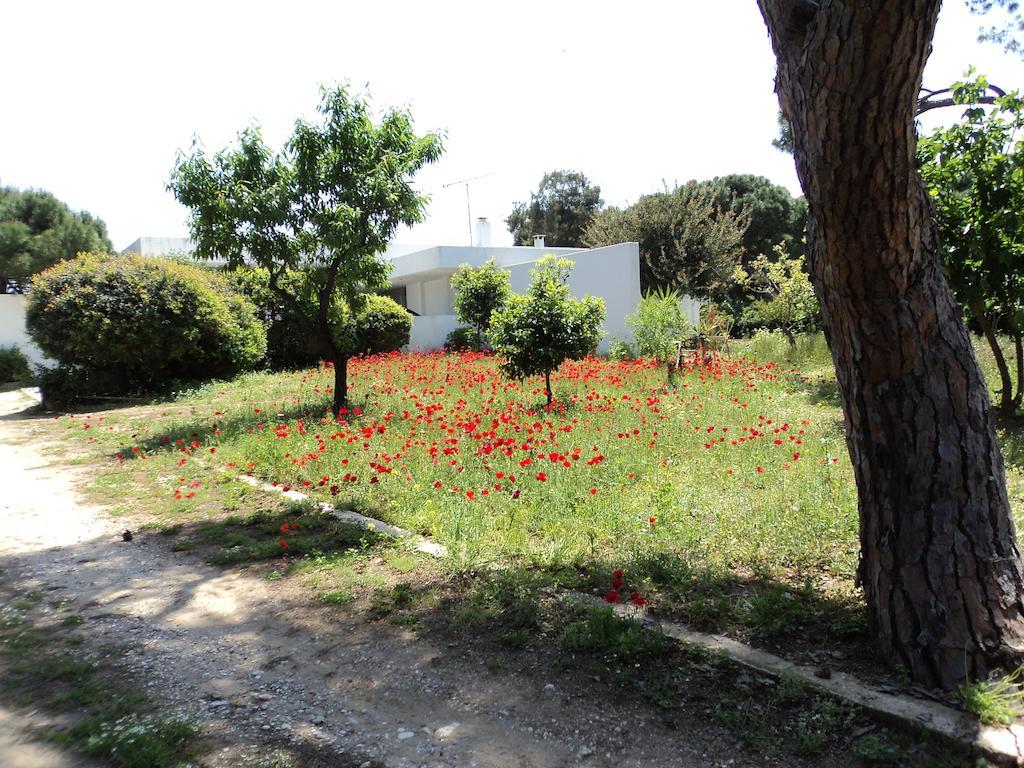 Beachfront Villa Hoopoe Schinias, Marathon Δωμάτιο φωτογραφία